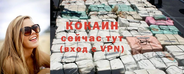 молекула духа Горно-Алтайск