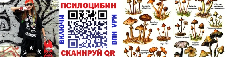 купить закладку  Ельня  это клад  Псилоцибиновые грибы Cubensis 